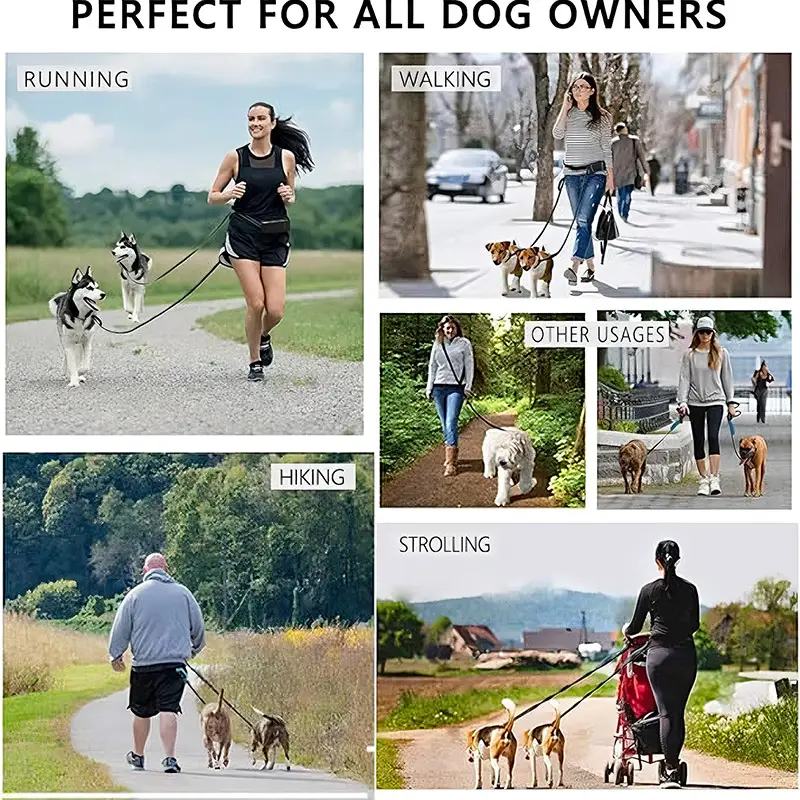 Retractable Pro Dog Leash thumbnail 2